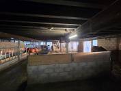 Stabulation libre pour chevaux 