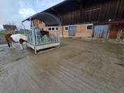 Stabulation libre pour chevaux 