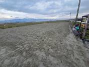 Stabulation libre pour chevaux 