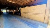Stabulation libre pour chevaux 