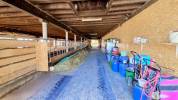 Stabulation libre pour chevaux 