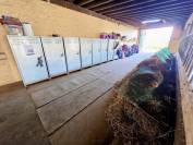 Stabulation libre pour chevaux 