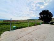 Stabulation libre pour chevaux 
