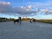 pension chevaux familliale