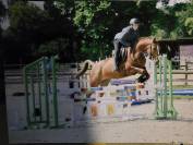 M&acirc;le 8 mois PFS