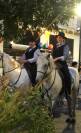 Cheval Hongre Camargue 150 pour loisir exceptionnel 