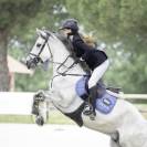 &Agrave; vendre &ndash; Poney Connemara, 8 ans