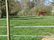 Location boxes vide pour chevaux 