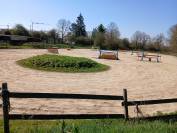 Location boxes vide pour chevaux 