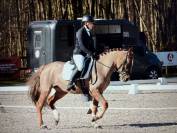 Jument &agrave; vendre 