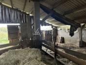 Exploitation Ovin/ Caprin 20 hectares