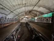 Exploitation Ovin/ Caprin 20 hectares