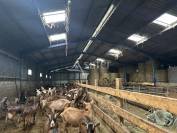 Exploitation Ovin/ Caprin 20 hectares