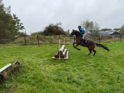JUMENT SF PAR L'ARC DE TRIOMPHE