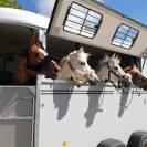 van Fautras 3 places