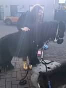 Shetland noir 6ans 85cm