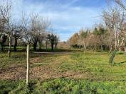 Propri&eacute;t&eacute; &eacute;questre secteur recherch&eacute; en Charente - 8 ha