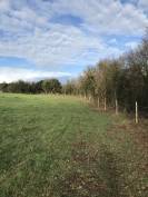 Propri&eacute;t&eacute; &eacute;questre secteur recherch&eacute; en Charente - 8 ha