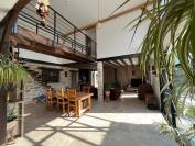 haras avec box, paddocks,piste et  maison neuve 