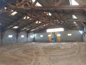 haras avec box, paddocks,piste et  maison neuve 