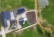 haras avec box, paddocks,piste et  maison neuve 