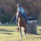 ✨ Accompagnement &eacute;thologique personnalis&eacute;