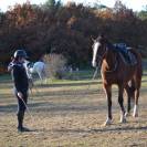 ✨ Accompagnement &eacute;thologique personnalis&eacute;