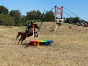 M&acirc;le PFS Isabelle 