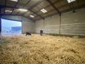 Pferdegerechte Pension mit Weiden & Offenstall 