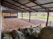 Pferdegerechte Pension mit Weiden & Offenstall 