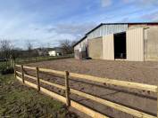 Pferdegerechte Pension mit Weiden & Offenstall 