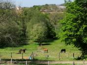 Loue maison 80 m&sup2; au sein d'une &eacute;curie, pr&egrave;s du Mans 72