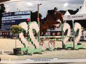 Cheval loisirs sportif