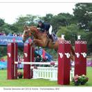 Cheval loisirs sportif