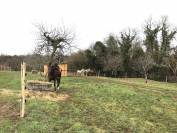 Bella dimora equestre In vendita Charente
