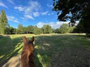 Pension chevaux propri&eacute;taire pr&egrave;s de Rennes (Betton) 