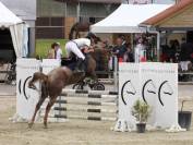 Jument Appaloosa de 11 ans