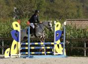 Belle Ponette CSO 