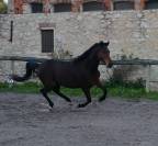 Honge 9 ans Plein Papiers