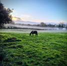 &Eacute;curie des Vergnes &agrave; Saint R&eacute;v&eacute;rend (Vend&eacute;e &ndash; 85)