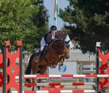 Hongre 10 ans polyvalent 