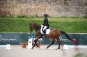 Belle jument 6 ans dressage 
