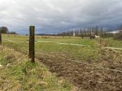 Pension &agrave; arquennes - Nouvelle g&eacute;rance d'&eacute;curie