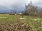 Pension &agrave; arquennes - Nouvelle g&eacute;rance d'&eacute;curie