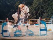 Pouliniere excellentes origines