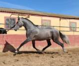 FENOMENAL:Vous recherchez un jeune avec