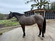 Arr&ecirc;t d&rsquo;activit&eacute; 