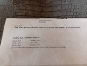 Quarter horse jeune d&eacute;bourr&eacute; 