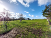 Propiedad ecuestre En venta Charente Mar&iacute;timo