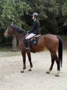 Jument de sport 10 ans 